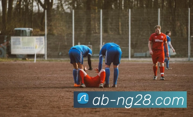 App Interface Preview