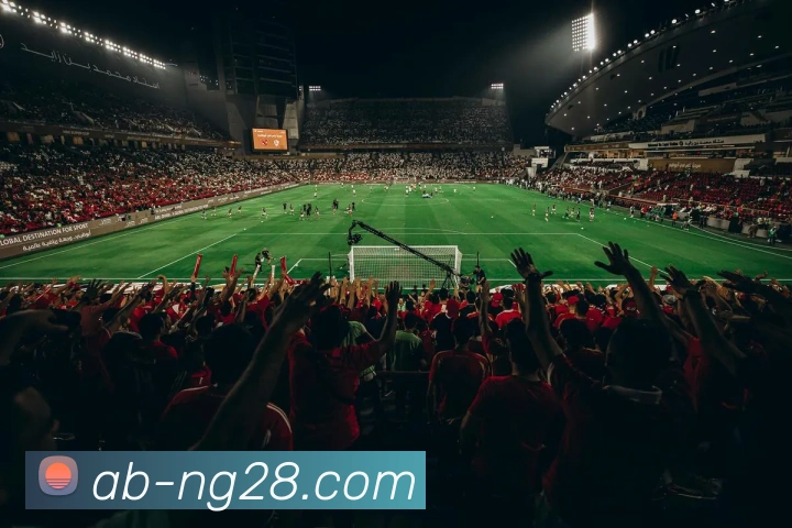 南宫NG28官网APP 封面图